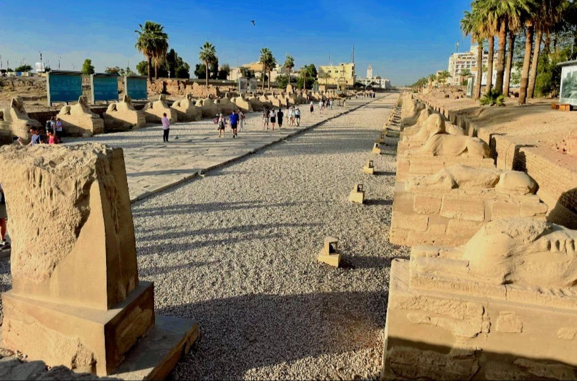 جانب من متعة السياح فى طريق الكباش جانب من متعة السياح فى طريق الكباش