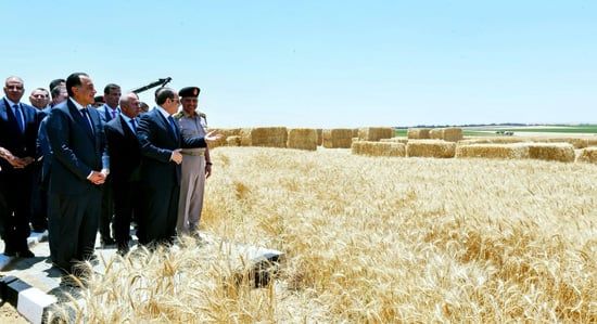 الرئيس السيسي (4) الرئيس السيسي (4)