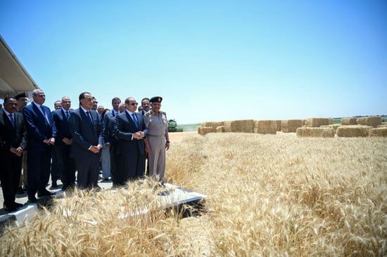 الرئيس السيسي (1) الرئيس السيسي (1)