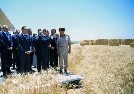 الرئيس السيسي (5) الرئيس السيسي (5)