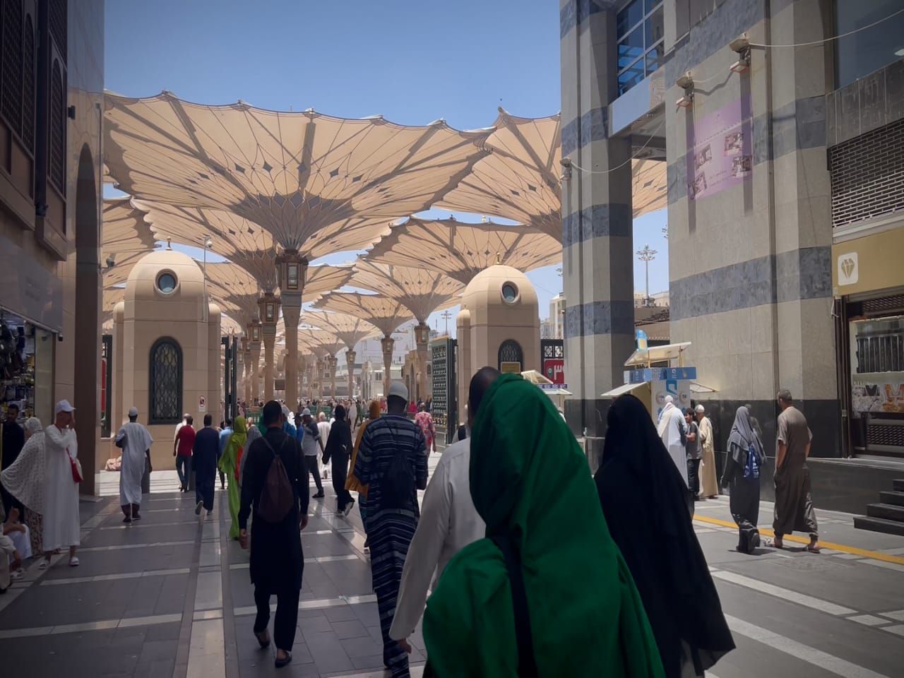 بعثة الحج المصرية (2) بعثة الحج المصرية (2)
