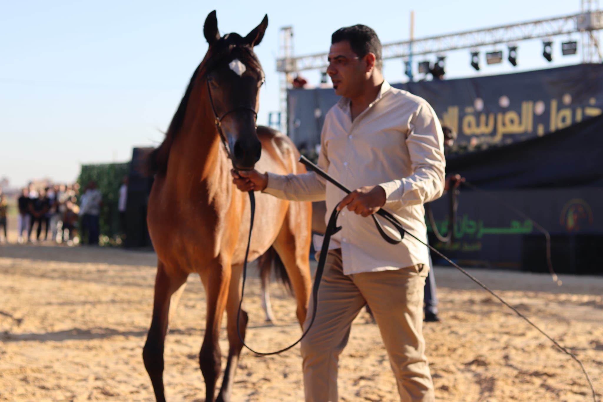 جانب من عرض الخيل جانب من عرض الخيل