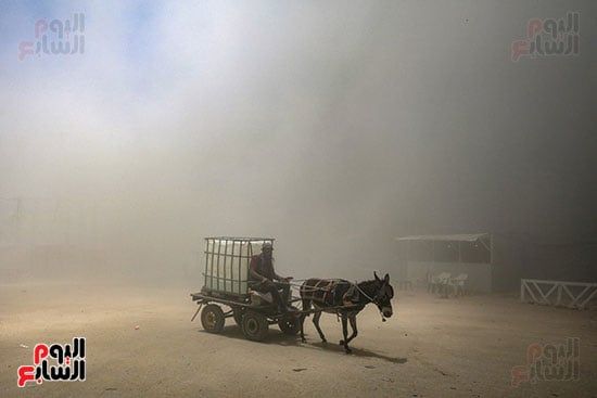 رجل يسير بعربة كارو مع تصاعد الغارات على القطاع رجل يسير بعربة كارو مع تصاعد الغارات على القطاع