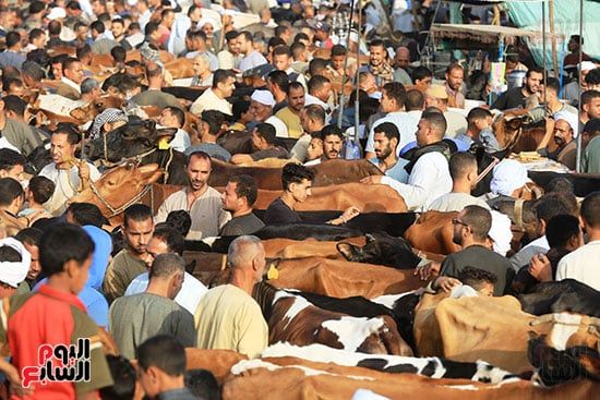 إقبال كثيف على سوق مزغونة إقبال كثيف على سوق مزغونة
