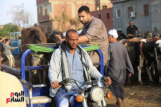 حركة النقل حركة النقل