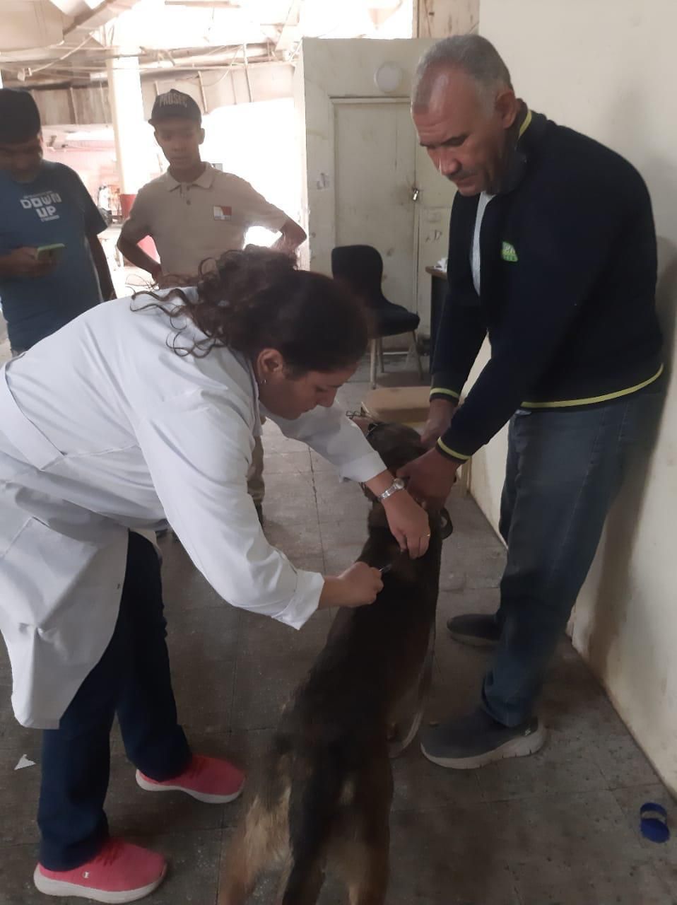 حملات ميدانية لتحصين الكلاب حملات ميدانية لتحصين الكلاب