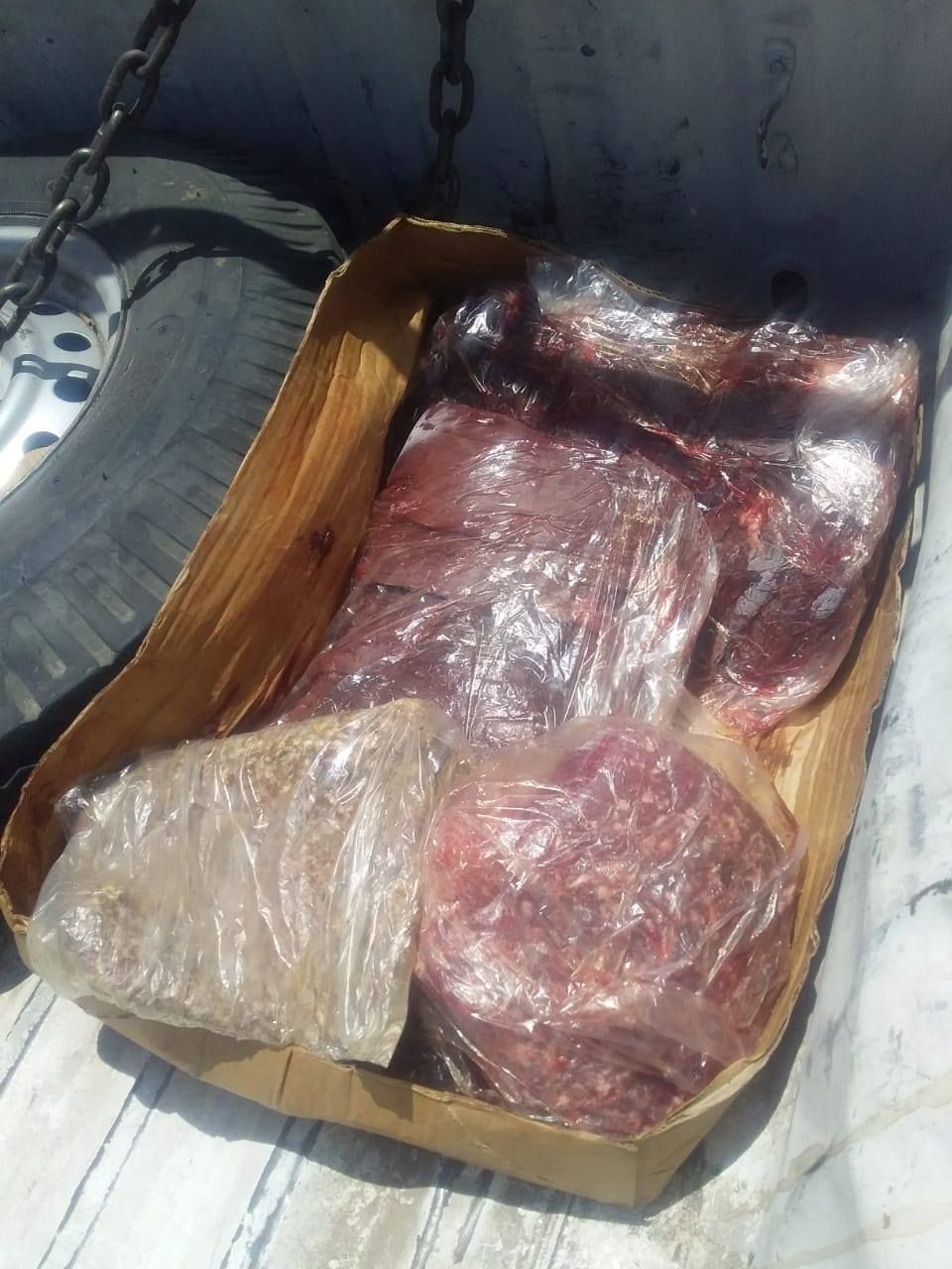 ضبط لحوم منتهية الصلاحية بمدينة أرمنت ضبط لحوم منتهية الصلاحية بمدينة أرمنت