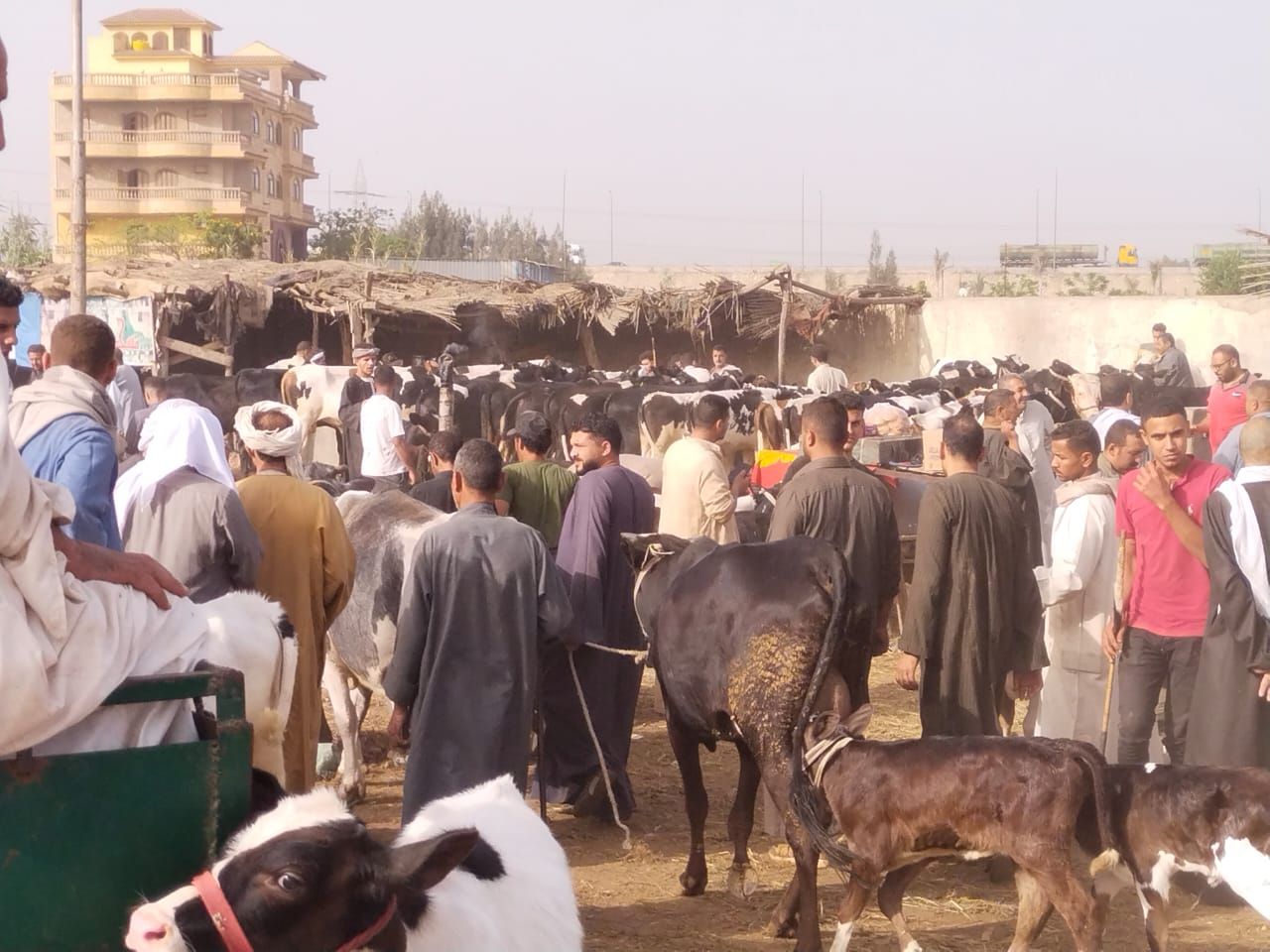 زحام كبير بالسوق_1 زحام كبير بالسوق_1