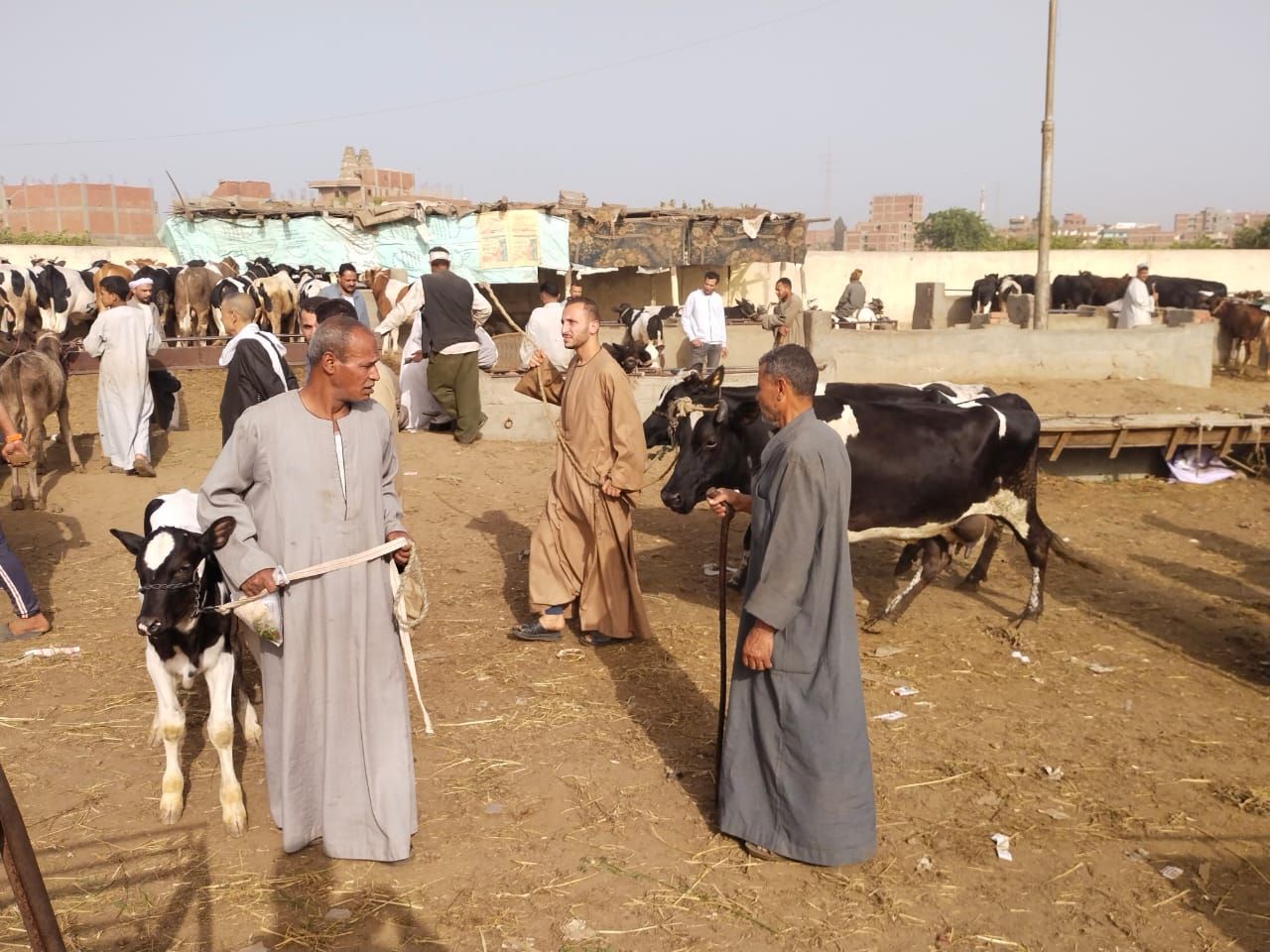 حركة البيع والشراء حركة البيع والشراء