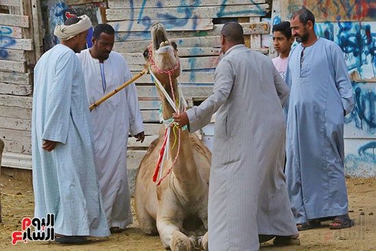 التجار داخل السوق التجار داخل السوق