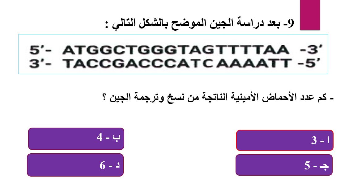 6 6
