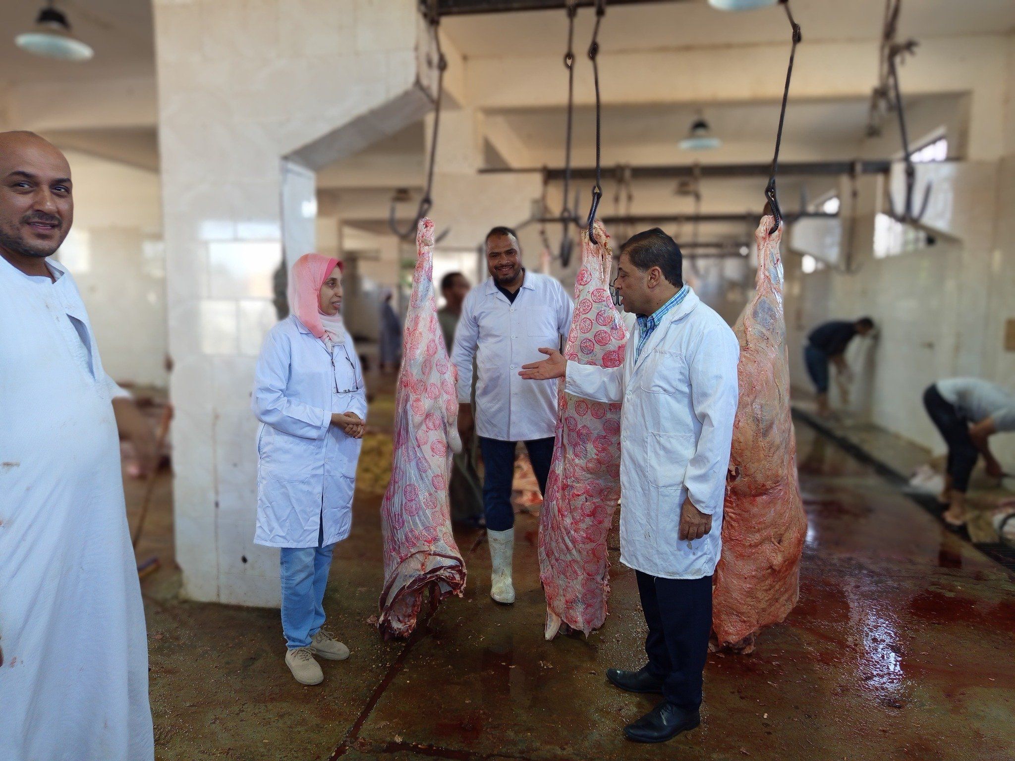 جولة لمتابعة إستعدادات المجازر لعيد الأضحى المبارك جولة لمتابعة إستعدادات المجازر لعيد الأضحى المبارك
