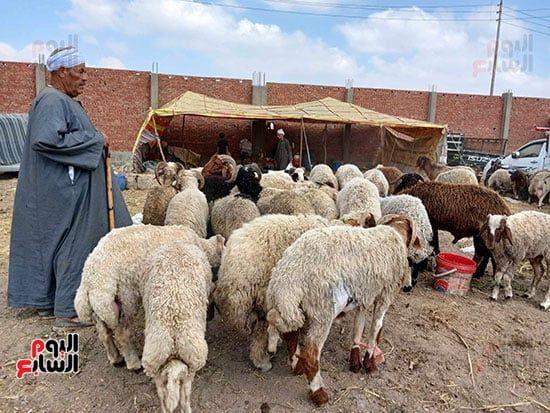 الخراف-البلدية الخراف-البلدية