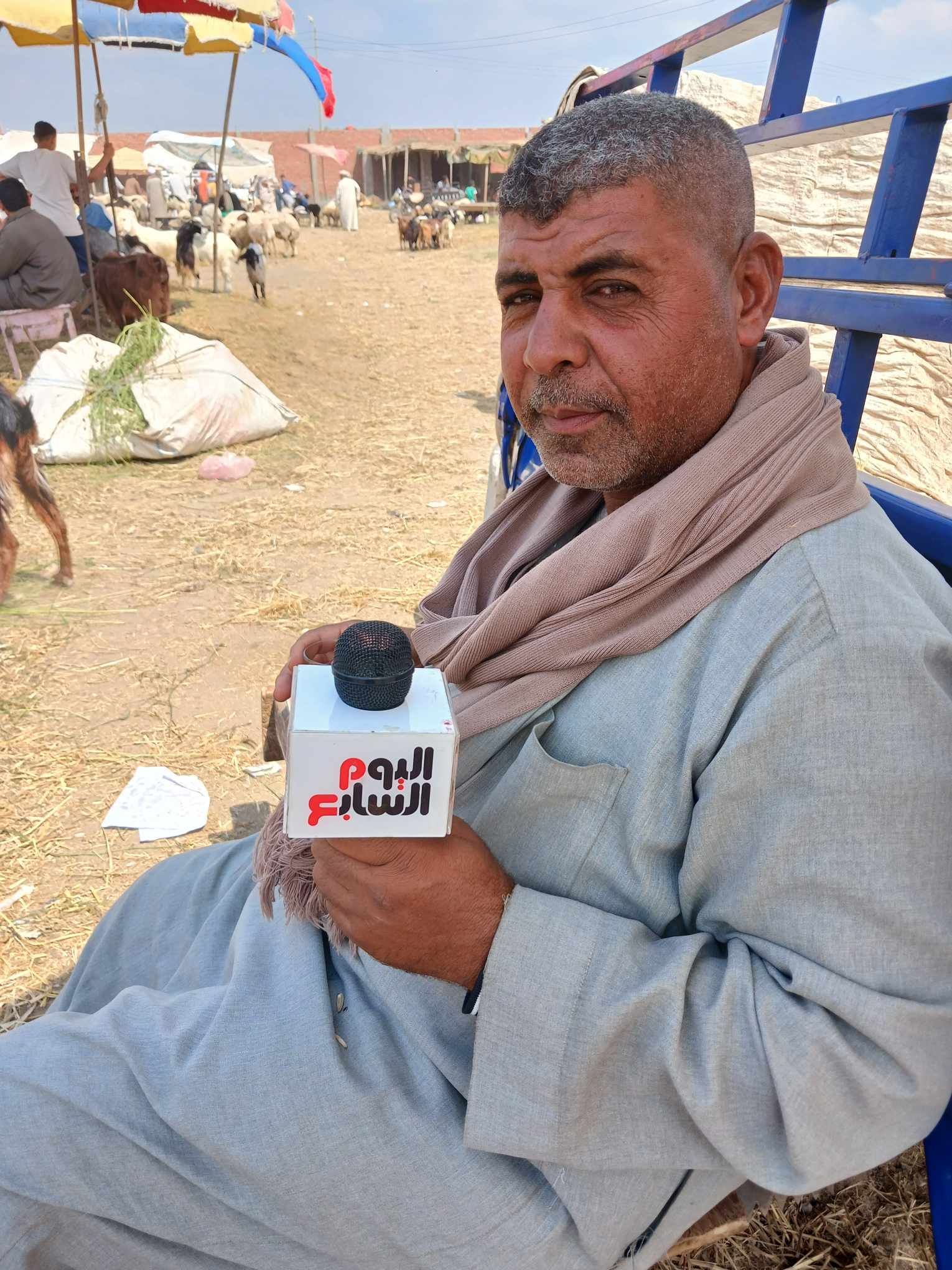 العم احمد تاجر اغنام العم احمد تاجر اغنام