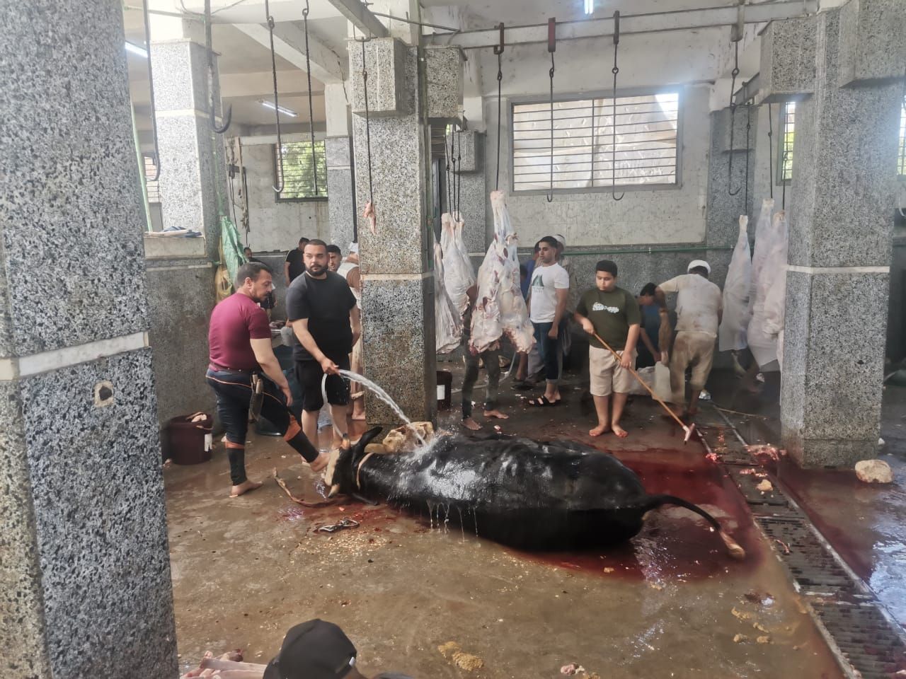 الحملة داخل المجزر الحملة داخل المجزر