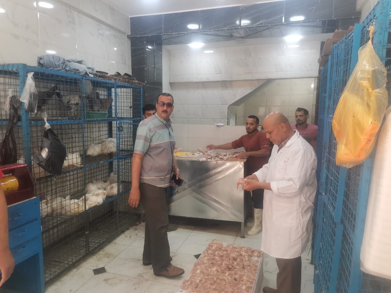 فحص محلات الدواجن فحص محلات الدواجن