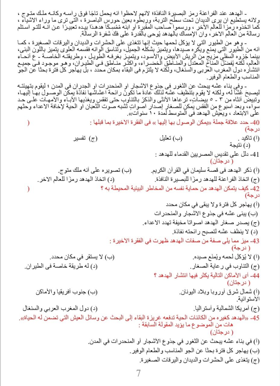 7ع 7ع