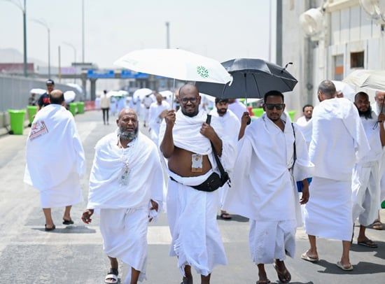 الحج (7) الحج (7)