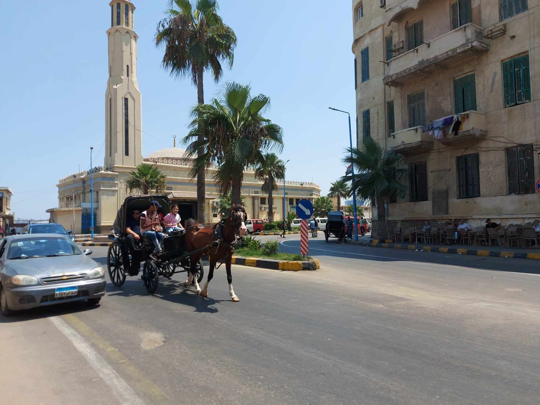 نزهه صيفية بالحنطور نزهه صيفية بالحنطور