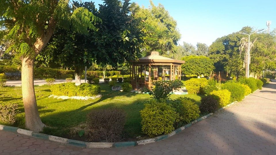 الخضرة بالحدائق الخضرة بالحدائق