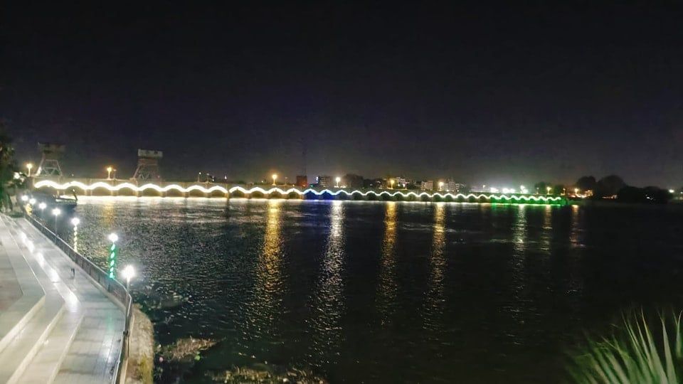 حدائق القناطر الخيرية ليلا حدائق القناطر الخيرية ليلا