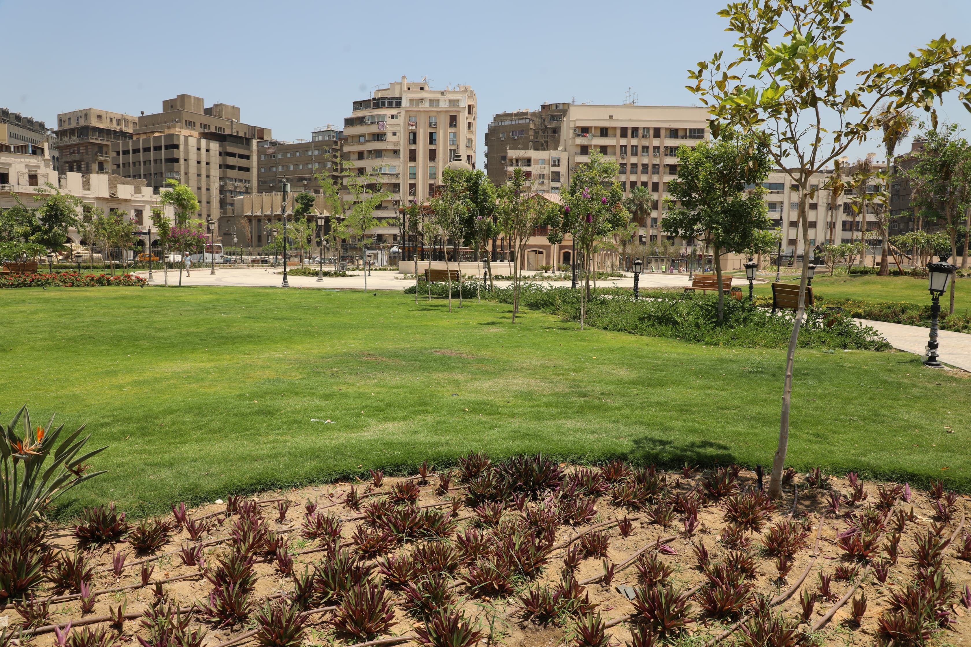 اعمال تطوير حديقة الأزبكية (5) اعمال تطوير حديقة الأزبكية (5)