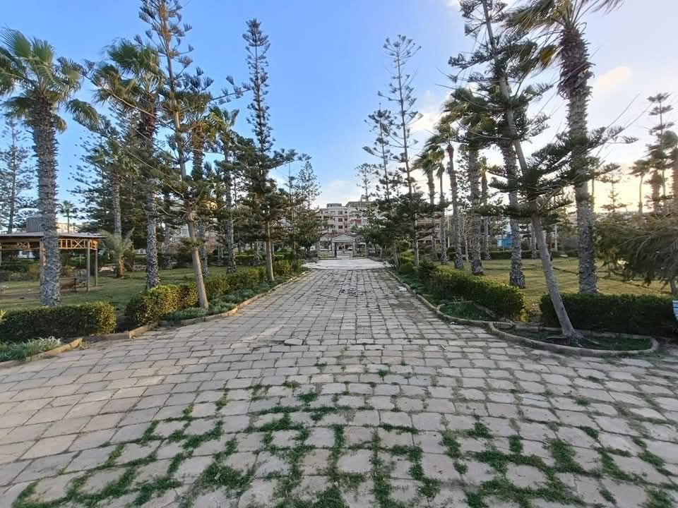 حدائق مدينة جمصة بعد التطوير حدائق مدينة جمصة بعد التطوير