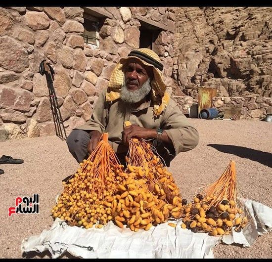 انتاج سانت كاترين انتاج سانت كاترين