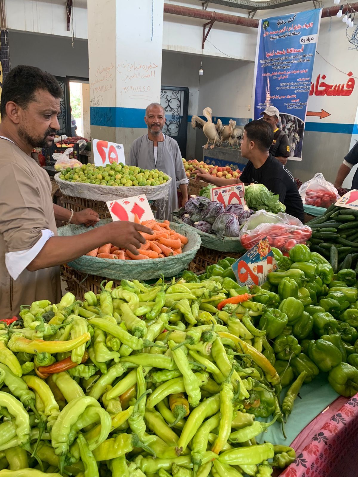 خضروات ضمن المبادرة خضروات ضمن المبادرة