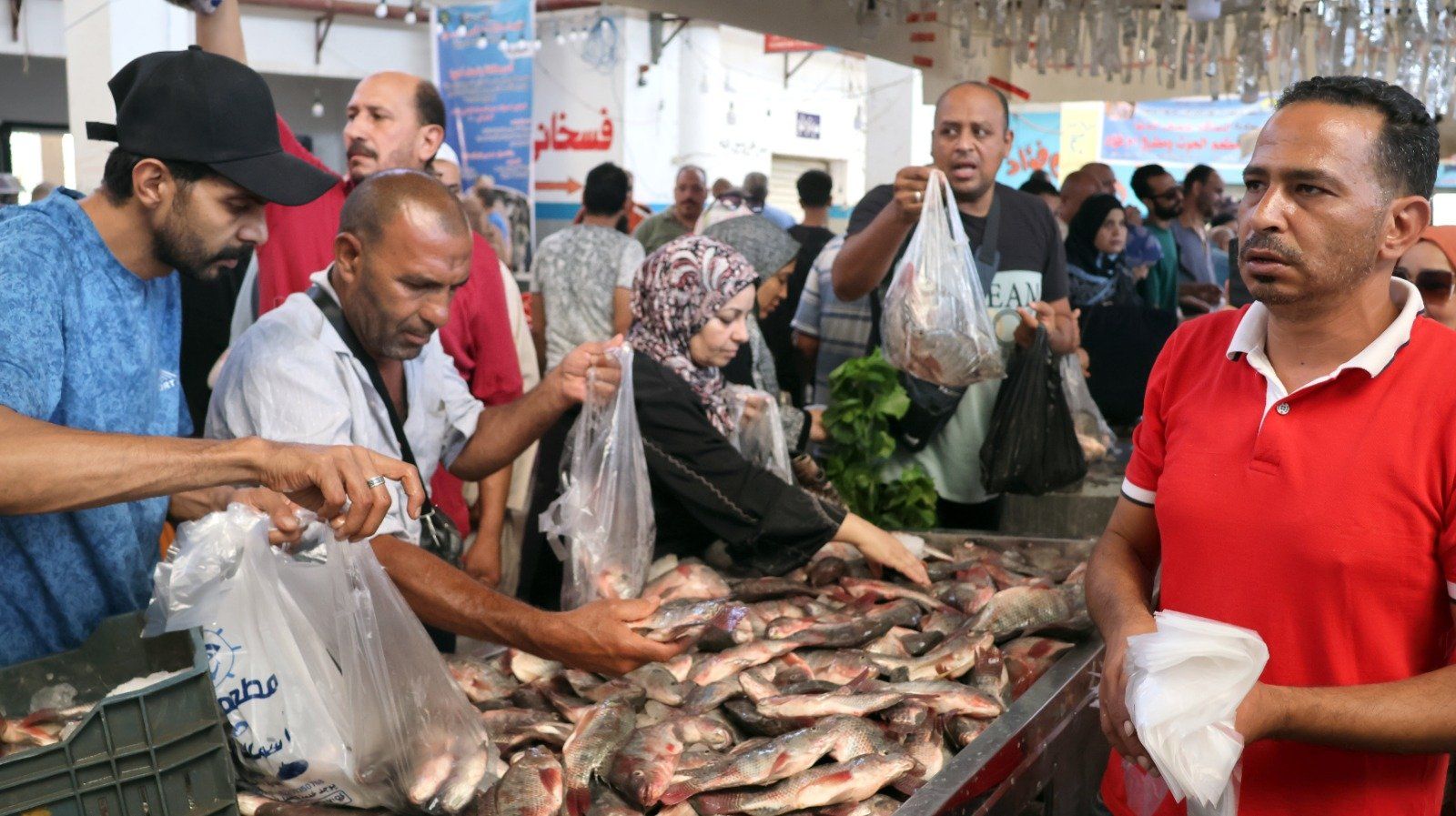 اقبال على الاسماك اقبال على الاسماك
