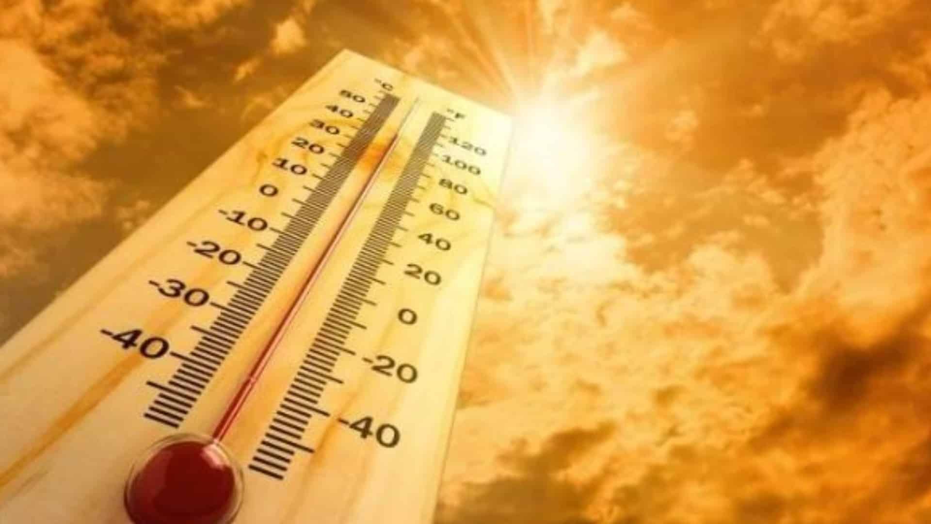 القيصومة والأحساء تسجلان أعلى درجة حرارة خلال 24 ساعة في السعودية
