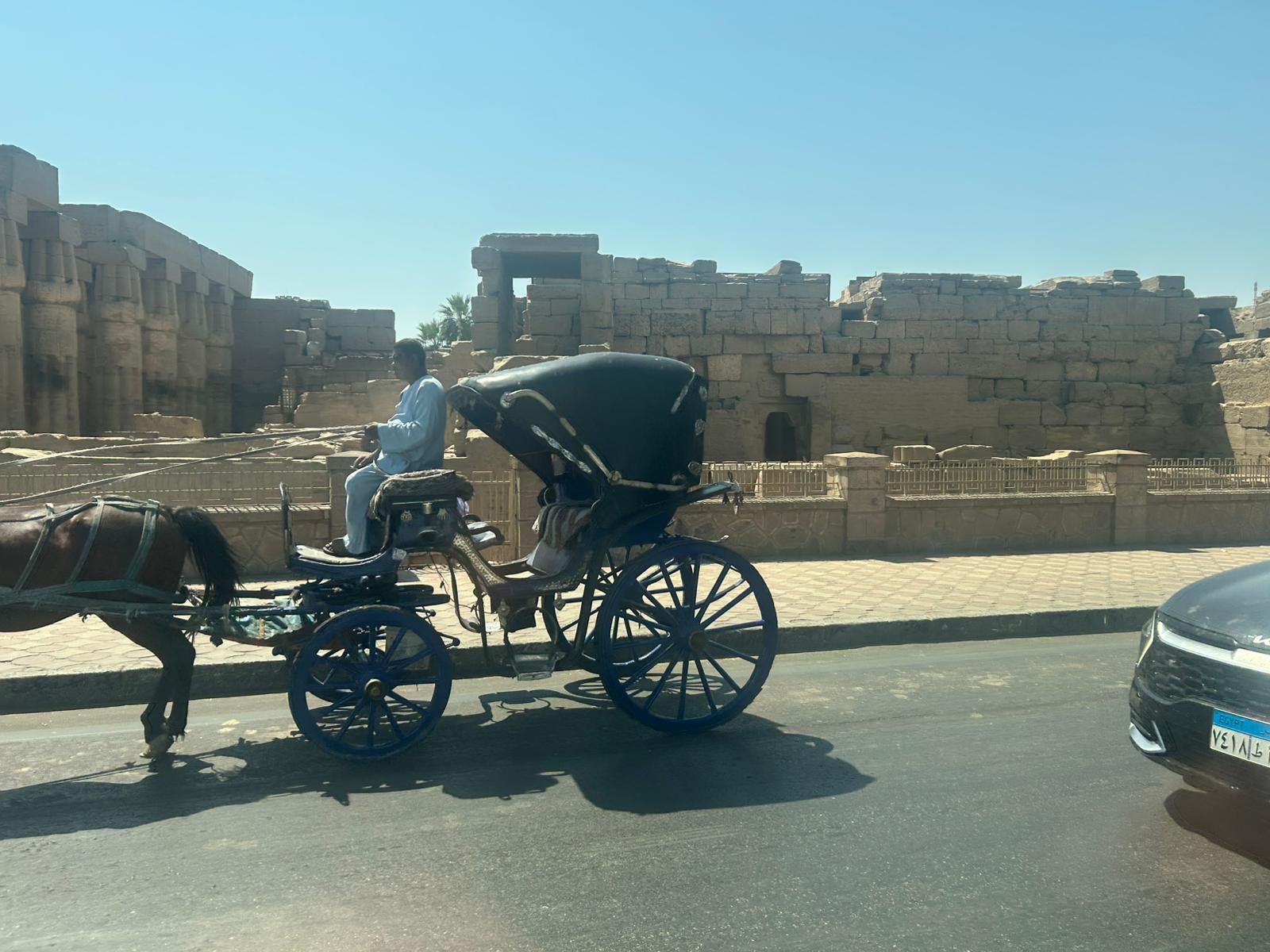 جولات الحنطور بين المواقع الأثرية حول الأقصر جولات الحنطور بين المواقع الأثرية حول الأقصر