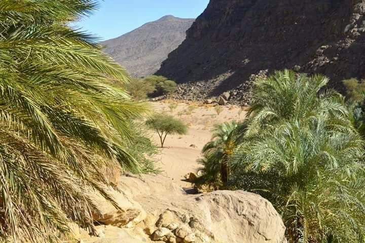 منطقة أبرق والمناطق الطبيعية بها منطقة أبرق والمناطق الطبيعية بها