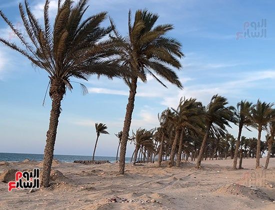 شاطئ-الريسة-جوهرة-من-الجمال-بالعريش شاطئ-الريسة-جوهرة-من-الجمال-بالعريش