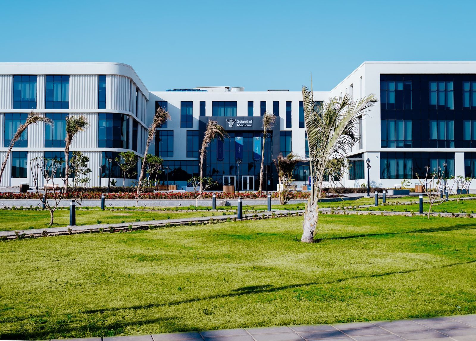 جامعة باديا تستقبل الطلاب الراغبين فى الالتحاق بكلية الفنون الجميلة جامعة باديا تستقبل الطلاب الراغبين فى الالتحاق بكلية الفنون الجميلة