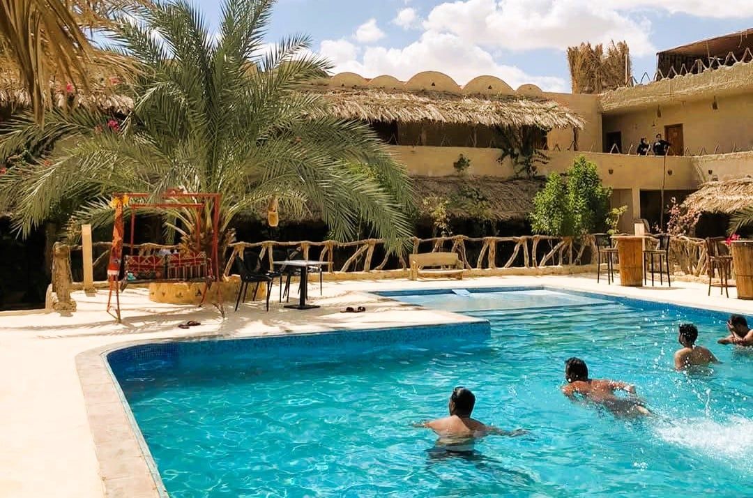 السباحة خلال شتاء سيوة الدافئ السباحة خلال شتاء سيوة الدافئ