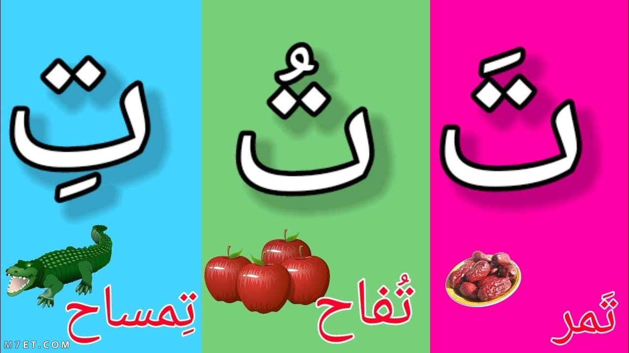 نبات بحرف ت