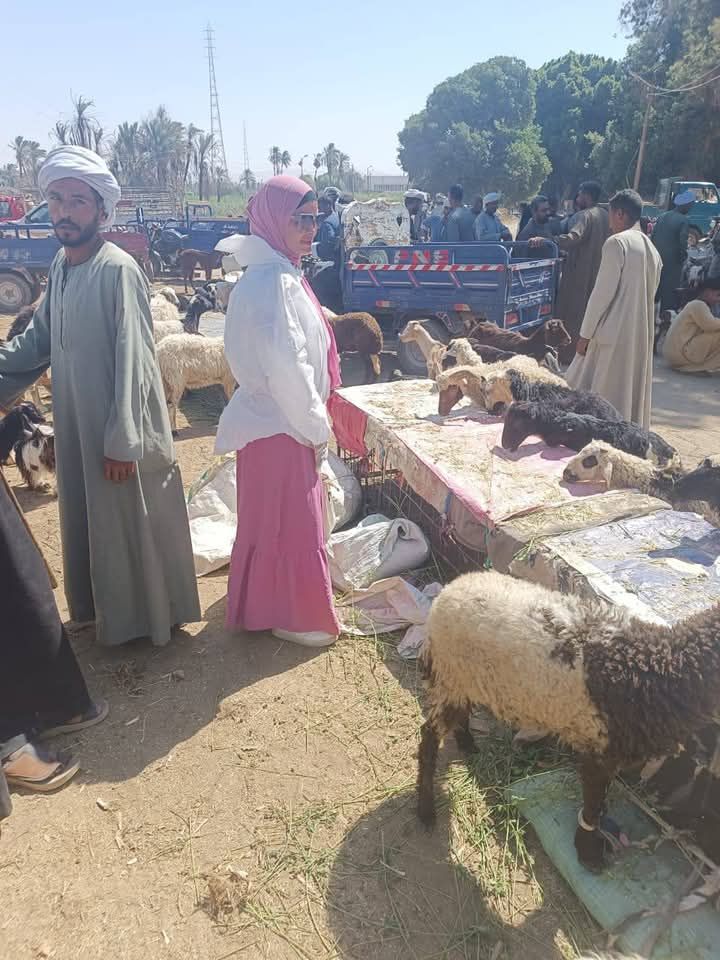 الوعي الصحي الوقائي لدى المربين الوعي الصحي الوقائي لدى المربين