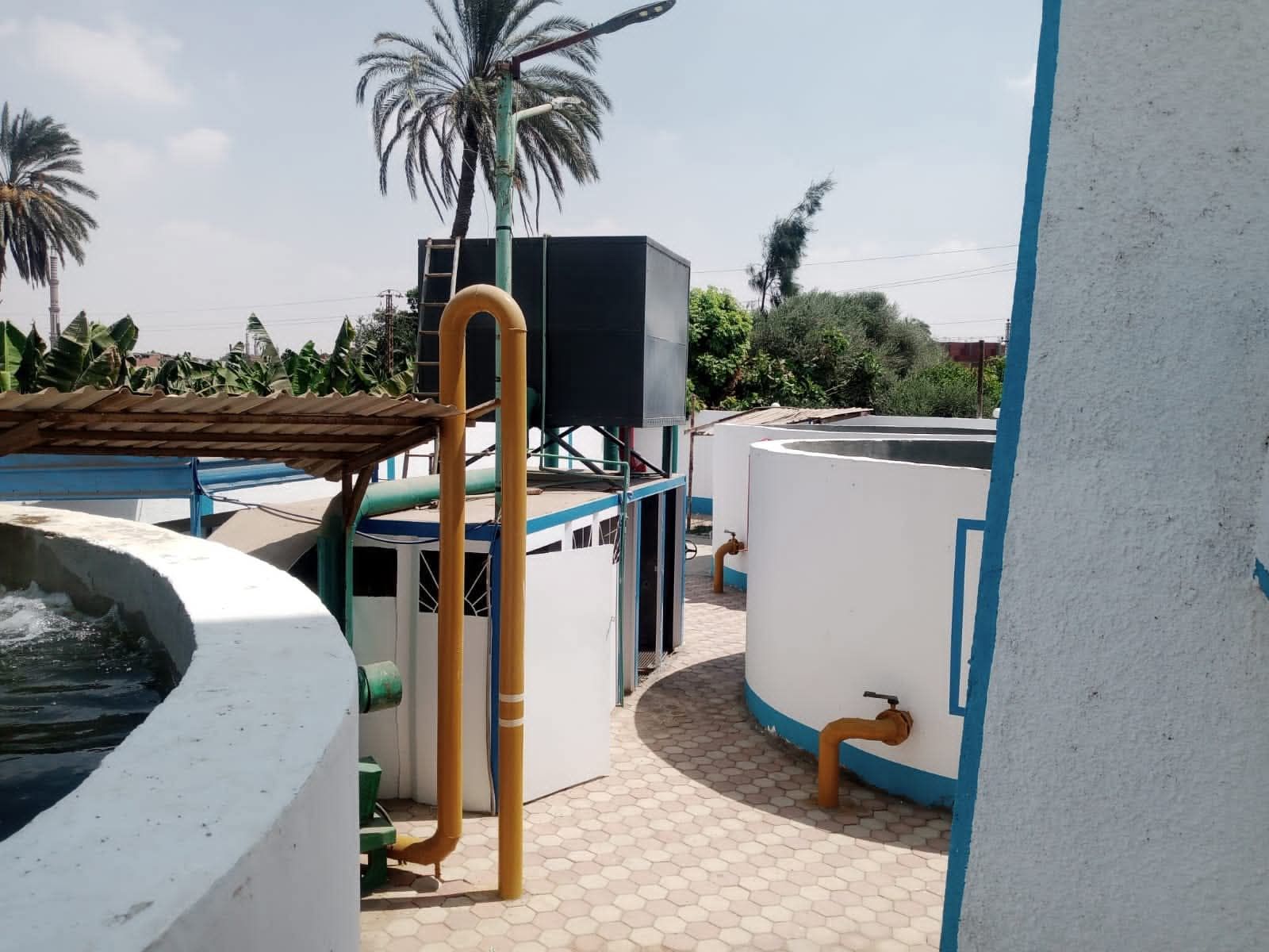 حياة كريمه