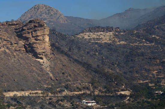 أكثر من 230 رجل إطفاء ودعم جوي ينتشرون في جزيرة كريت (6) أكثر من 230 رجل إطفاء ودعم جوي ينتشرون في جزيرة كريت (6)