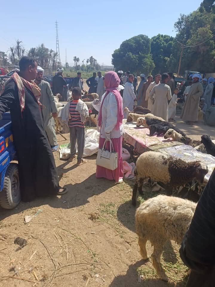 التوعية للمواطنين رجال وسيدات التوعية للمواطنين رجال وسيدات