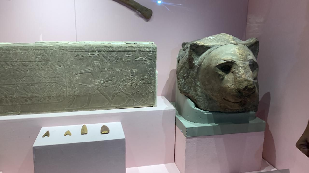 المعبود سخمت معبودة الحرب والقوة والصيد المعبود سخمت معبودة الحرب والقوة والصيد