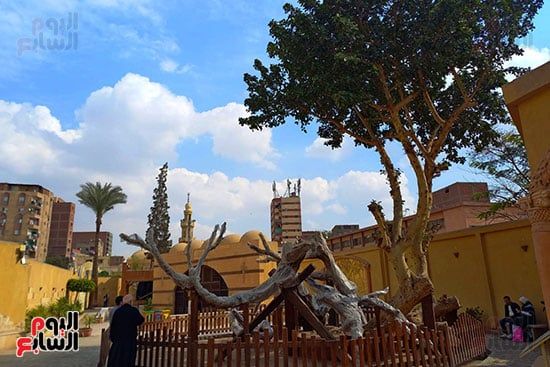 رحلة العائلة المقدسة رحلة العائلة المقدسة