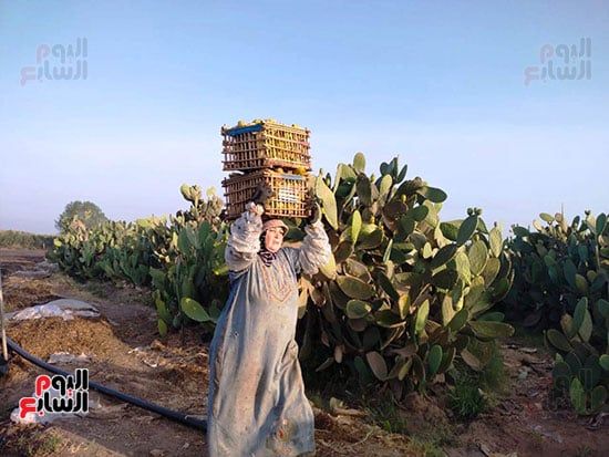 خلال-التحميل خلال-التحميل