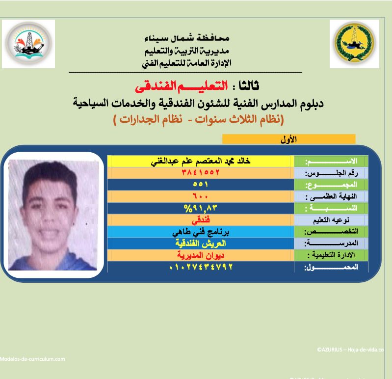 أوائل الدبلومات الفنية فى شمال سيناء (6) أوائل الدبلومات الفنية فى شمال سيناء (6)
