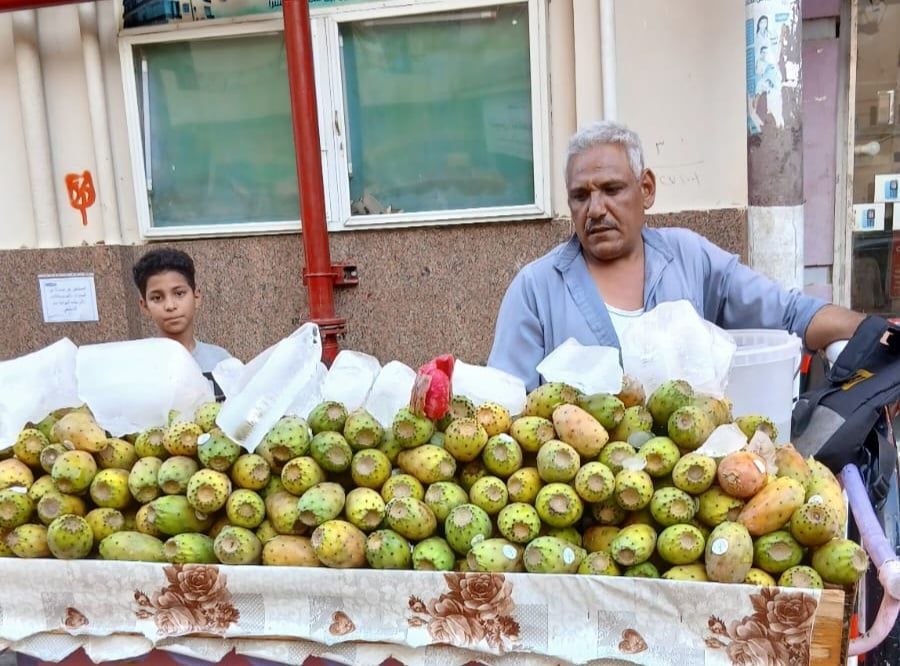 عربة التين الشوكي عربة التين الشوكي