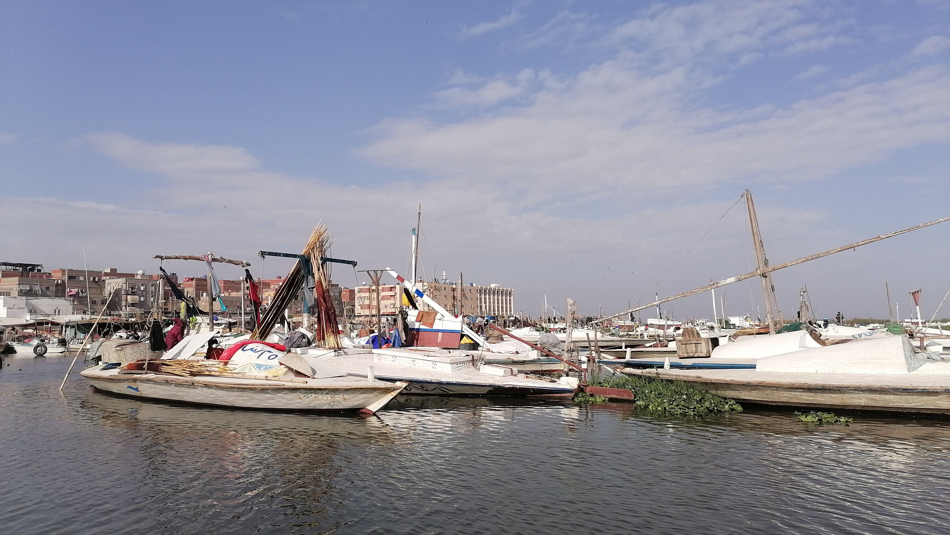 مصر جميلة من بحيرة المنزلة مصر جميلة من بحيرة المنزلة