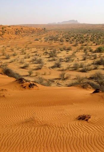 المناظر الطبيعية القديمة لصحراء الفاية في إمارة الشارقة في الإمارات العربية المتحدة تعد مواقع جديدة ضمن قائمة اليونسكو للتراث العالمي. المناظر الطبيعية القديمة لصحراء الفاية في إمارة الشارقة في الإمارات العربية المتحدة تعد مواقع جديدة ضمن قائمة اليونسكو للتراث العالمي.