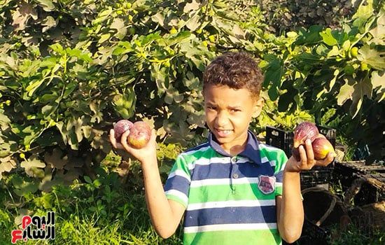 فرحة-الأكفال فرحة-الأكفال