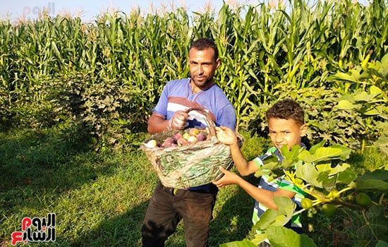 الفرحة-بالحصاد الفرحة-بالحصاد